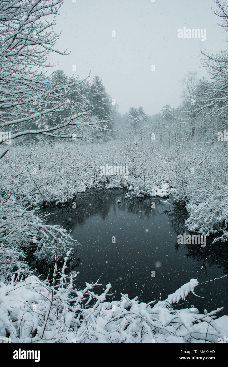 A snowy winter scene in New England Stock Photo - Alamy