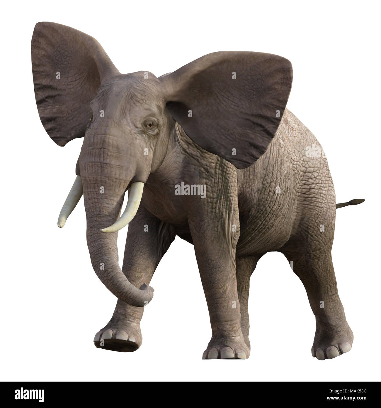 Grey Elephant isolated on white, 3d render Stock Photo - Alamy