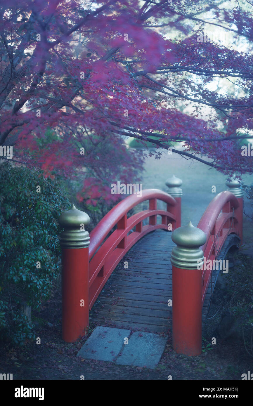 Arched red bridge in a Japanese garden, misty autumn scenery in Kyoto, Japan Stock Photo