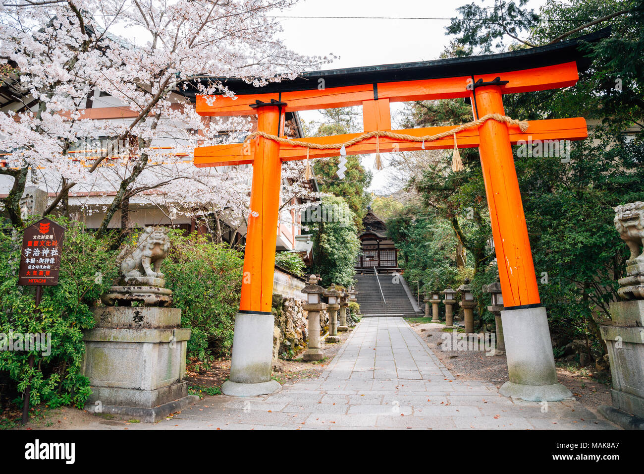 Kyoto, Japan - April 3, 2016 : Ujigami shrine at spring day Stock Photo