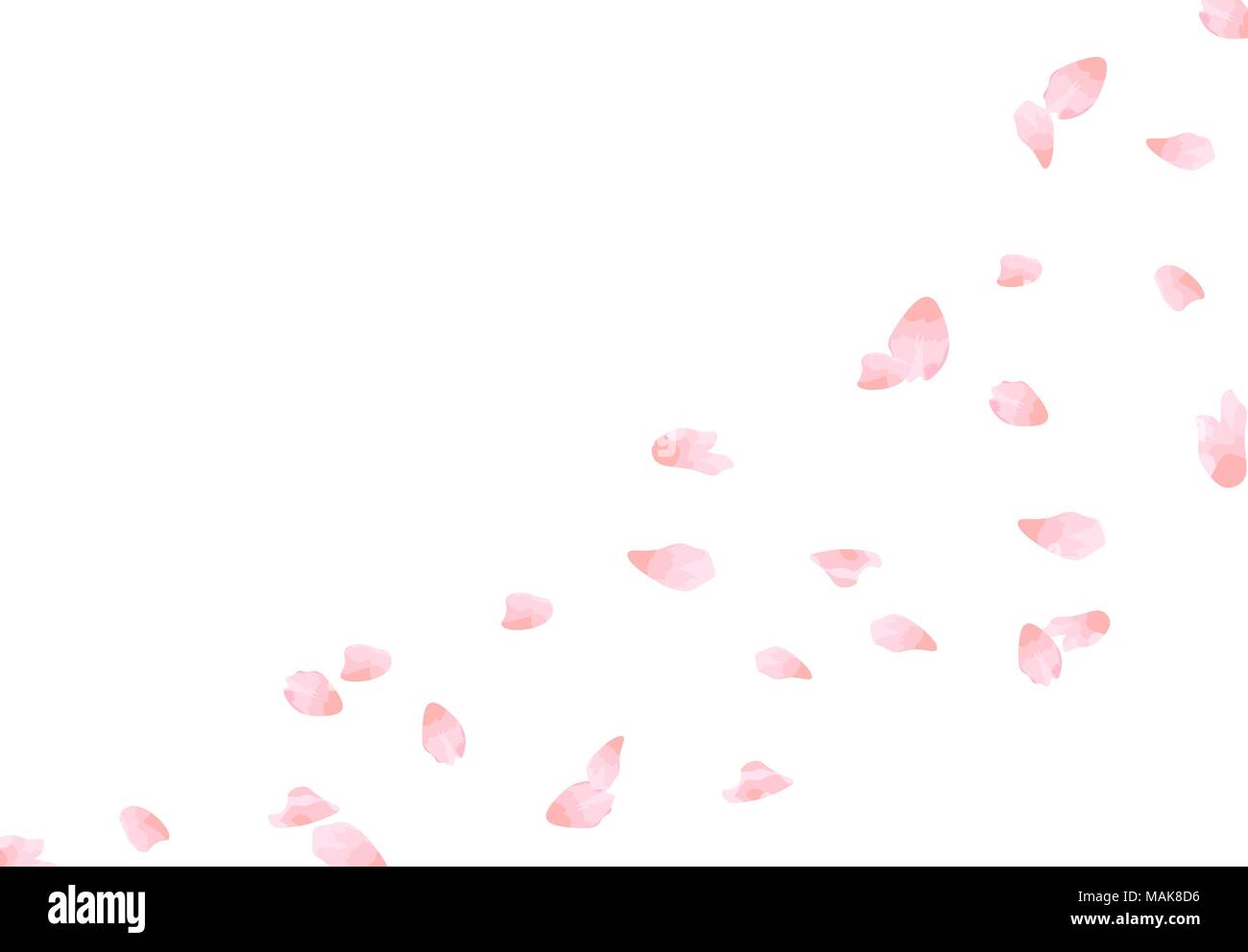 Sakura. Flying petals in the wind in pastel colors. isolated on white