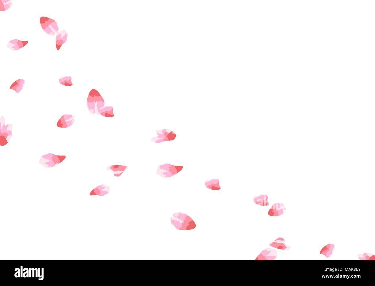 Sakura. Flying petals in the wind. isolated on white background