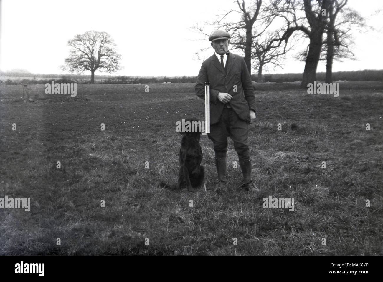 1930s, historical picture, a well-dressed gentleman gamekeeper or landowner with shotgun, dog and with pipe in mouth, standing on his land, England, UK. Stock Photo