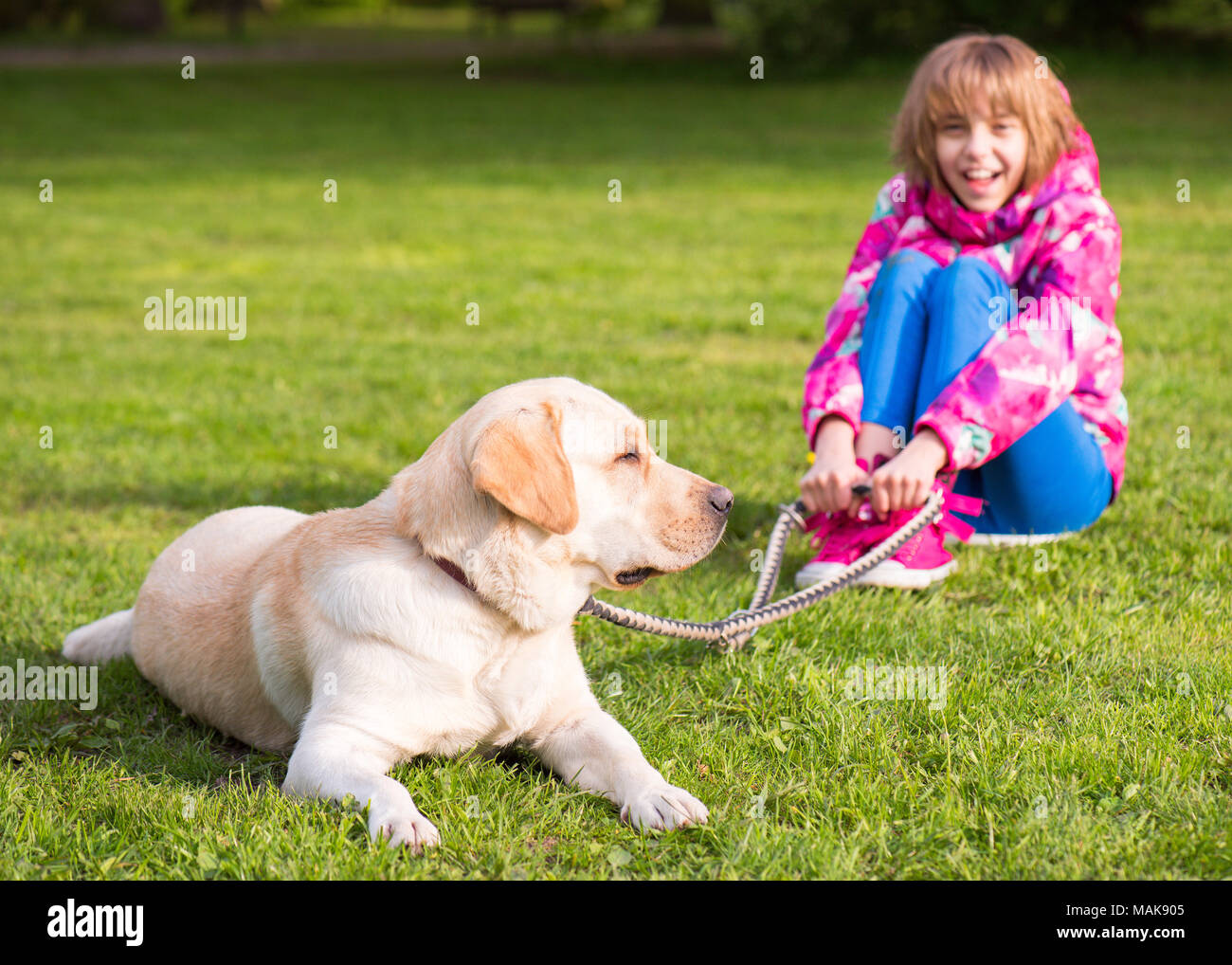 Girl with dog in park Stock Photo
