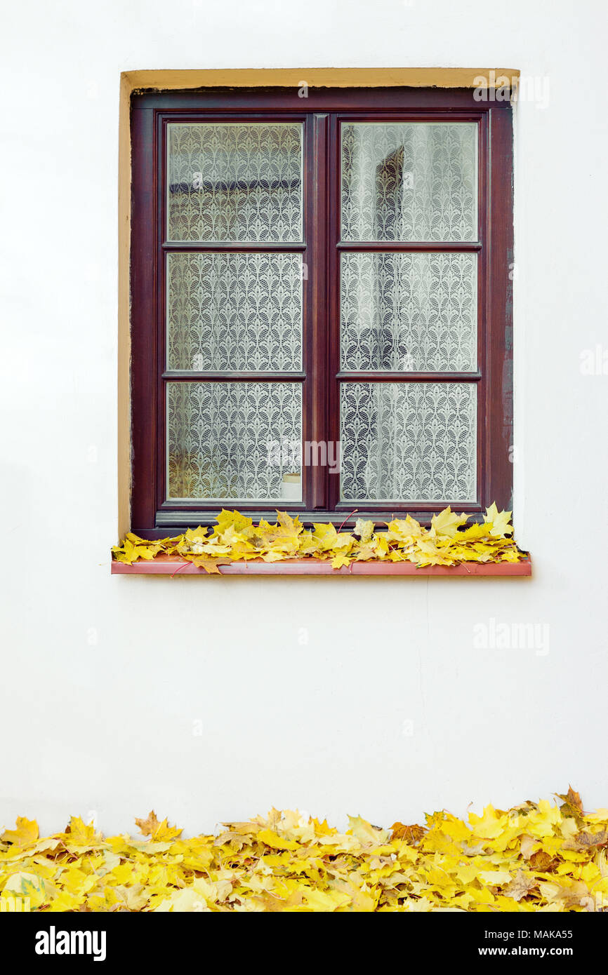 Building exterior picture with closed window and yellow maple leaves at autumn Stock Photo