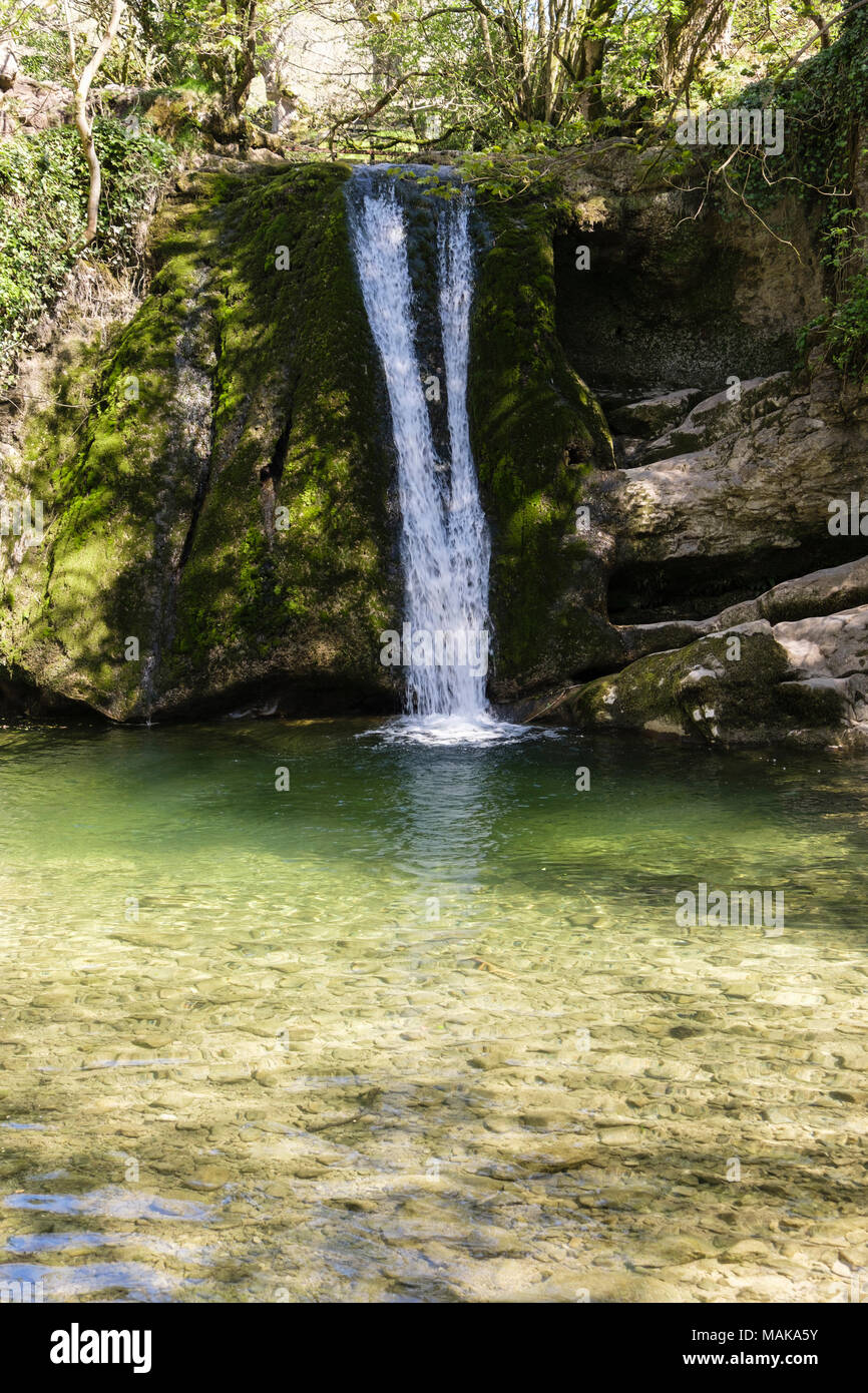 Janet's Foss waterfall falls over a limestone ledge into a pool on Gordale Beck in summer. Malham Yorkshire Dales National Park England UK Stock Photo