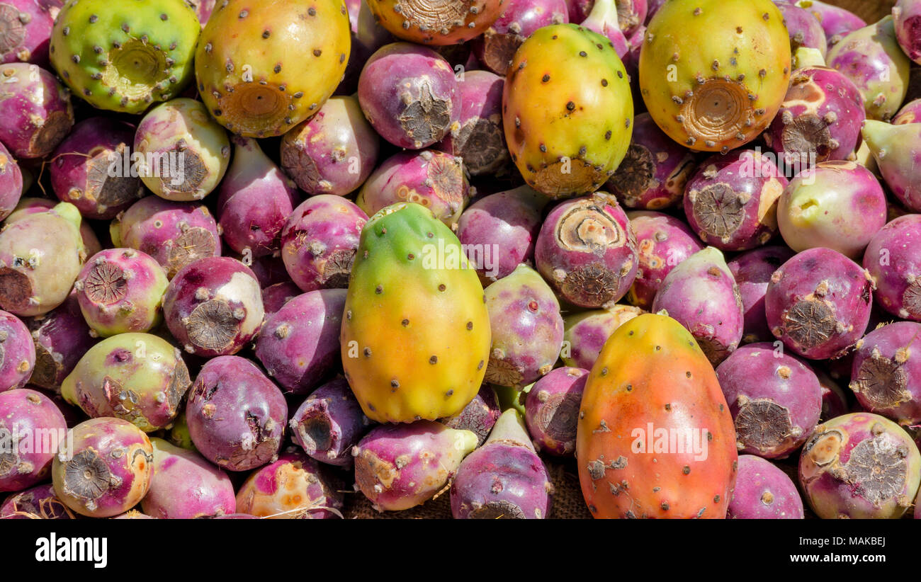 Cacti fruit hires stock photography and images Alamy