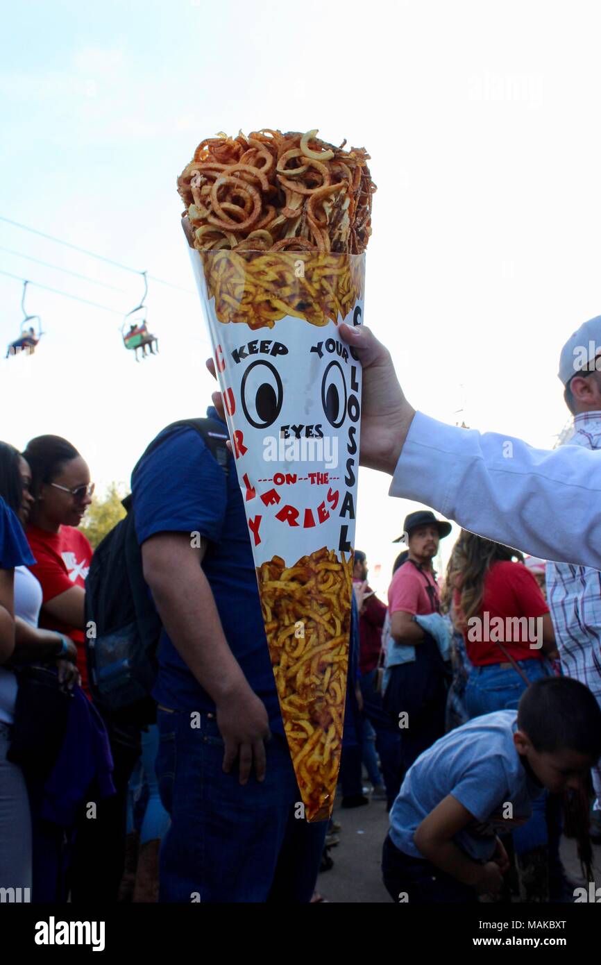 a huge portion of fries chips in a cone shaped container at houston