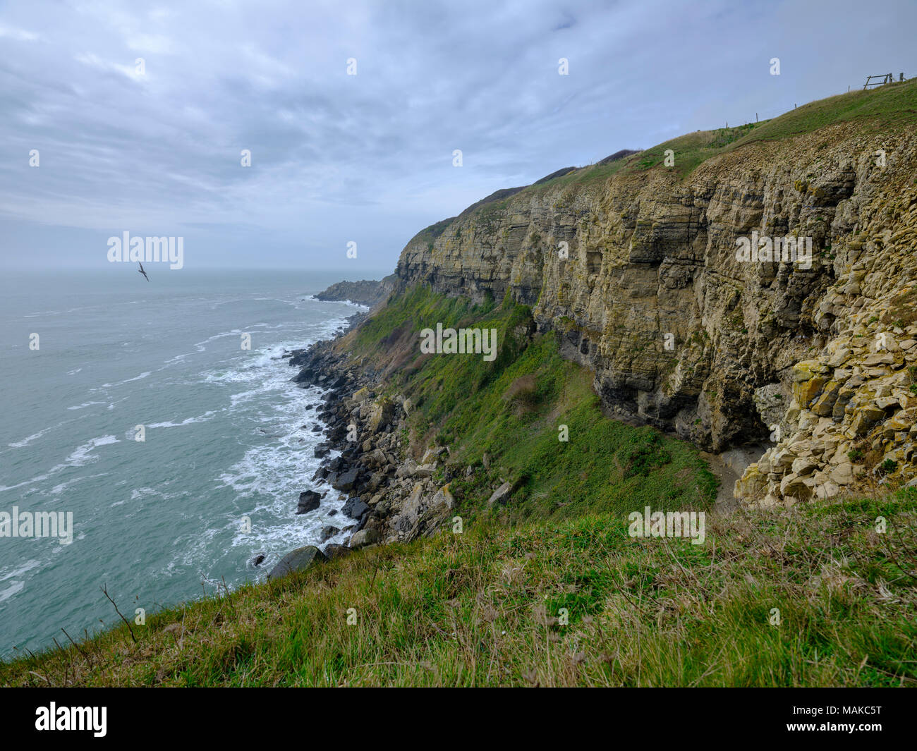 St Albans or St Aldhelms Head, Jurassic Coast, Purbeck, Dorset, UK Stock Photo
