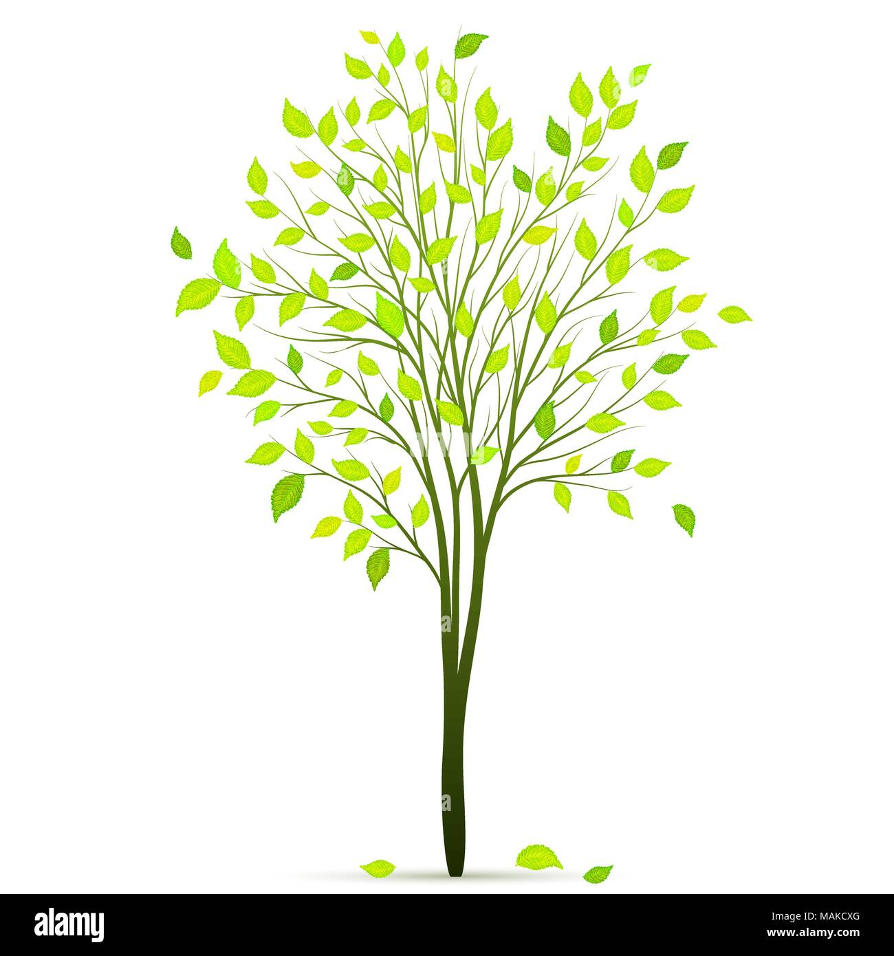 Tree with green leaves on white background vector Stock Vector Image ...