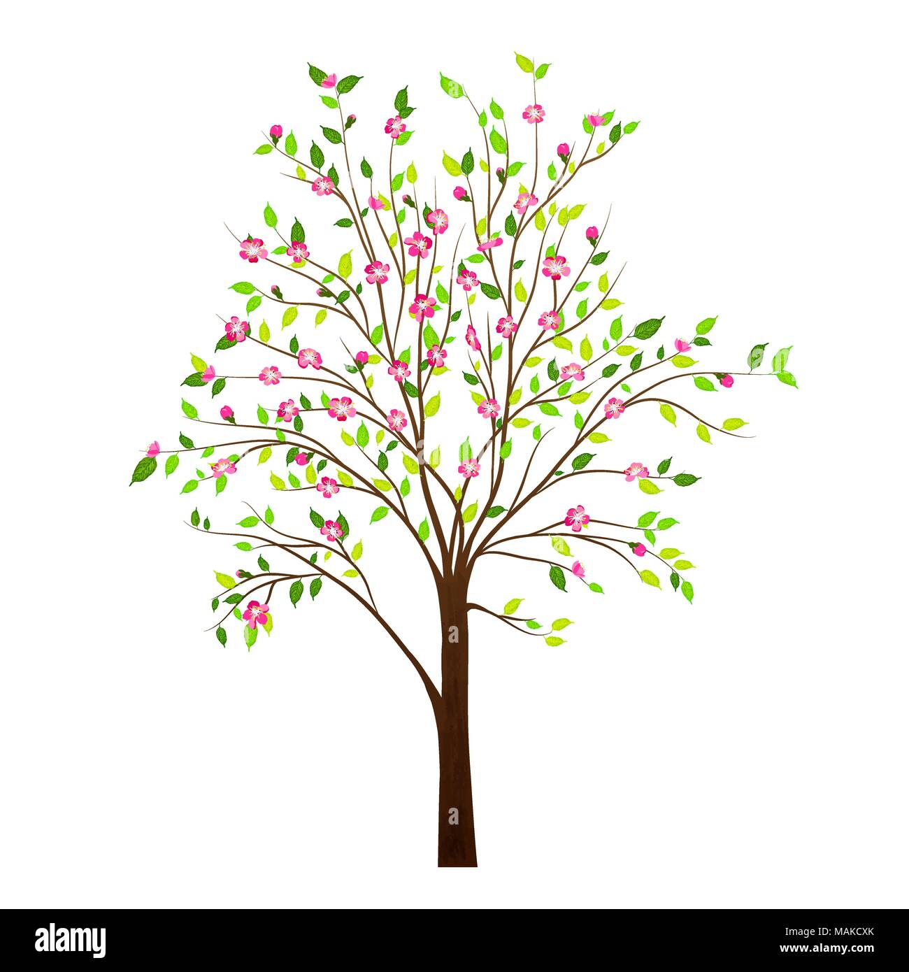 Spring tree with flowers isolated on white background vector Stock ...