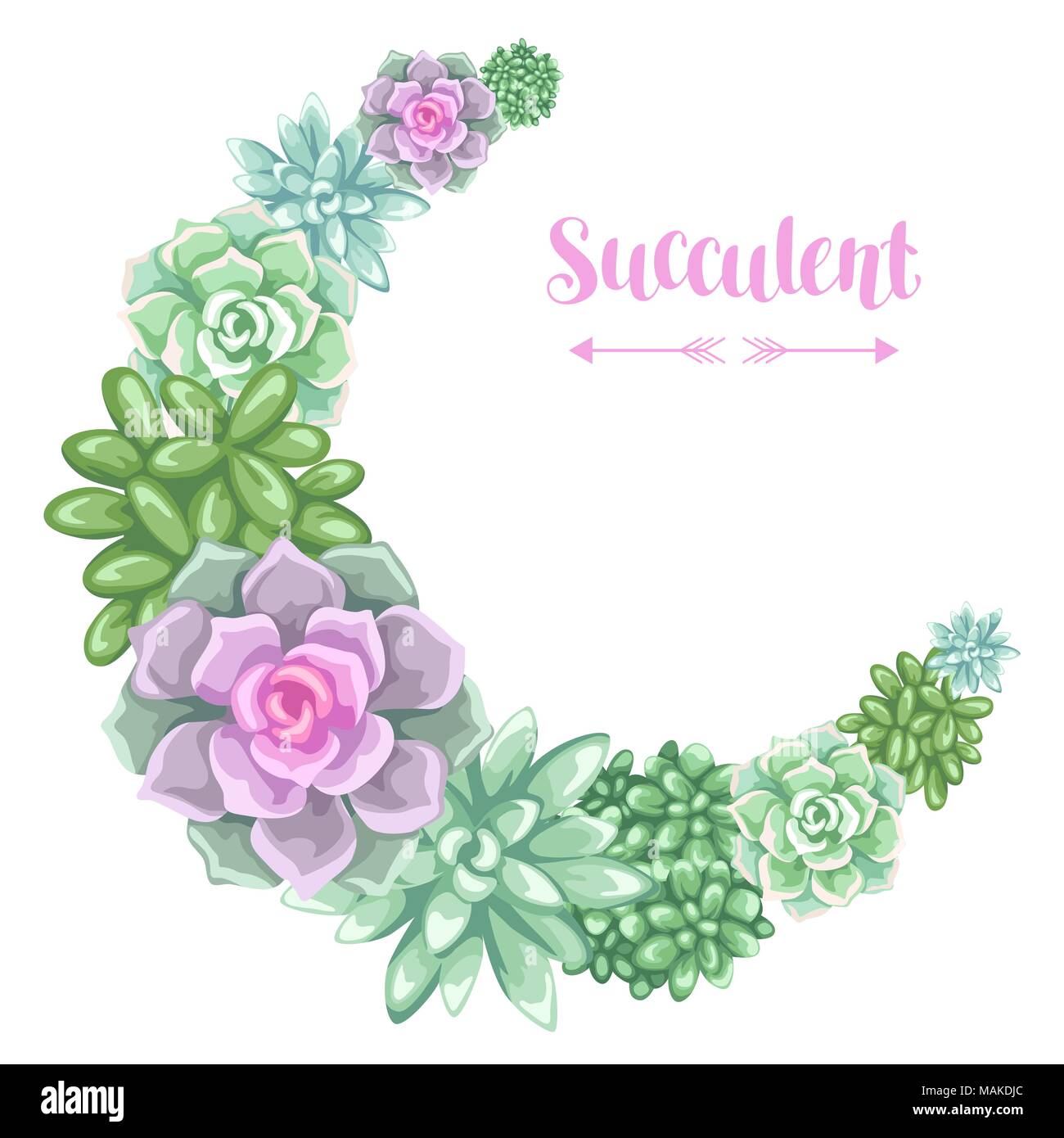 Wreath with succulents. Echeveria, Jade Plant and Donkey Tails Stock Vector
