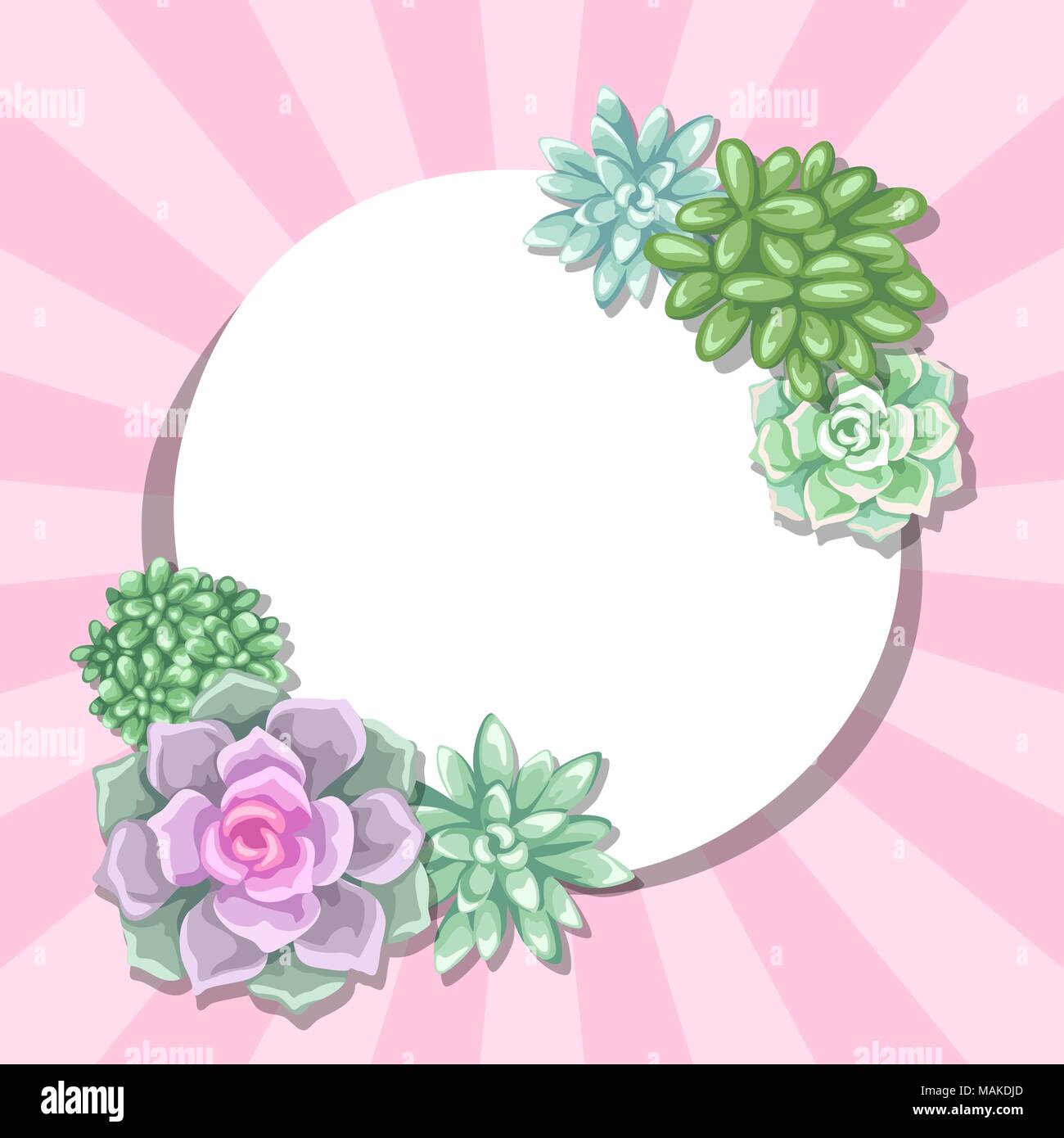 Card with succulents. Echeveria, Jade Plant and Donkey Tails Stock Vector