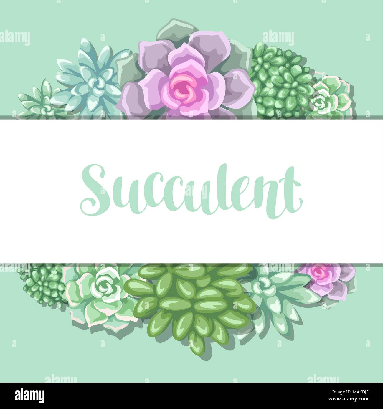 Card with succulents. Echeveria, Jade Plant and Donkey Tails Stock Vector