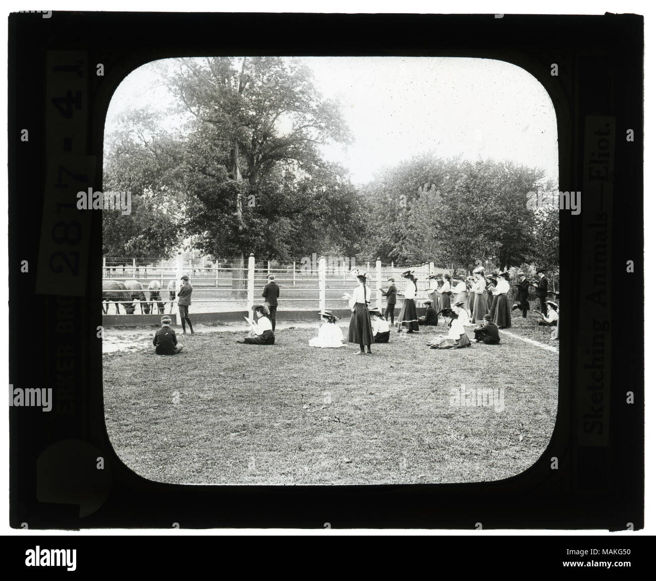 Horizontal, black and white photo of students drawing horses in a corral in a outdoor classroom setting. Title: Educational Museum Lantern Slides: Sketching Animals- Eliot School.  . circa 1910. Stock Photo