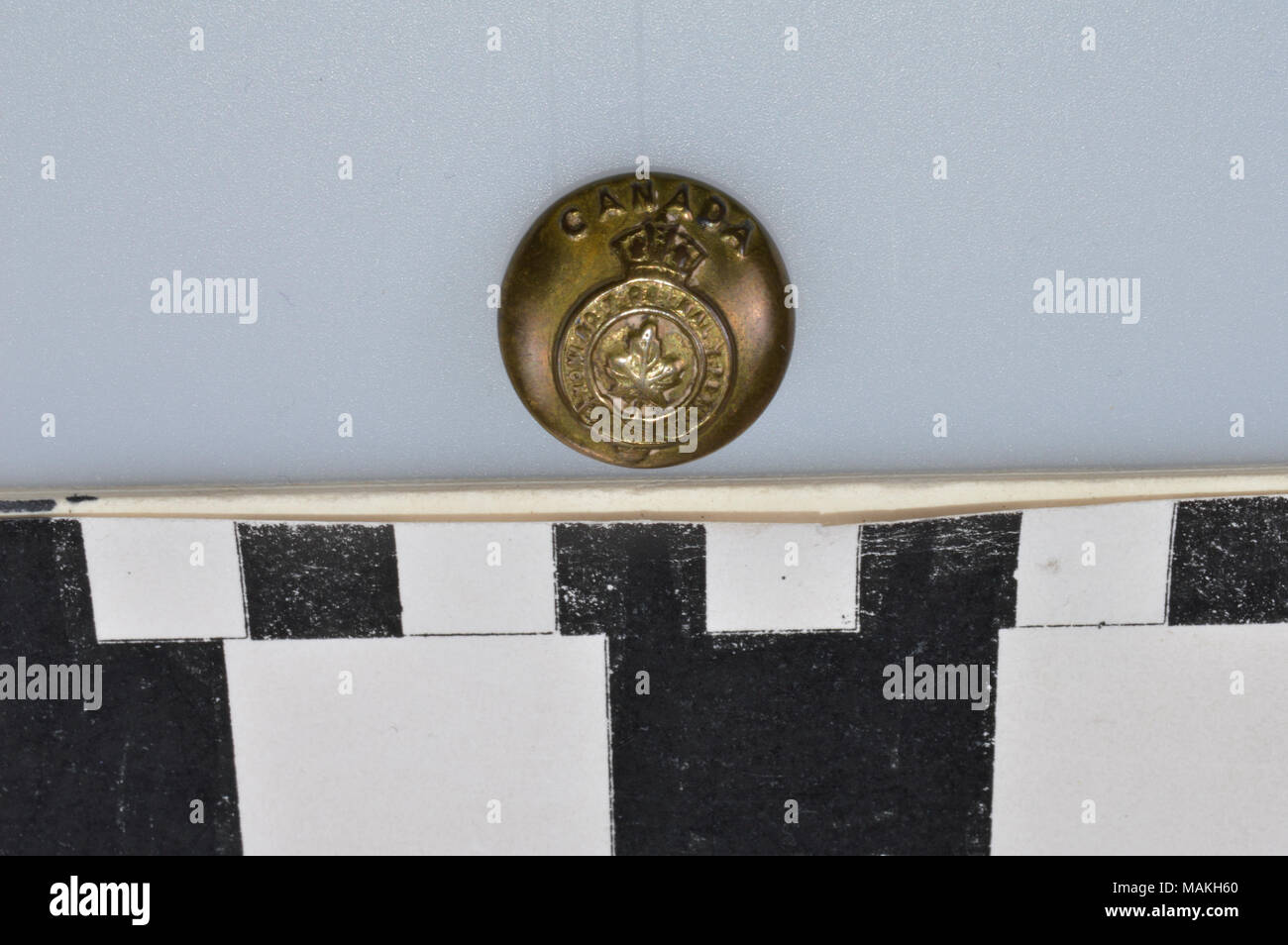 World War I Canadian General Service brass button. Front of the button is  embossed with a maple leaf surrounded by a garter belt in a circle embossed  HONI SOIT QUI MAL Y