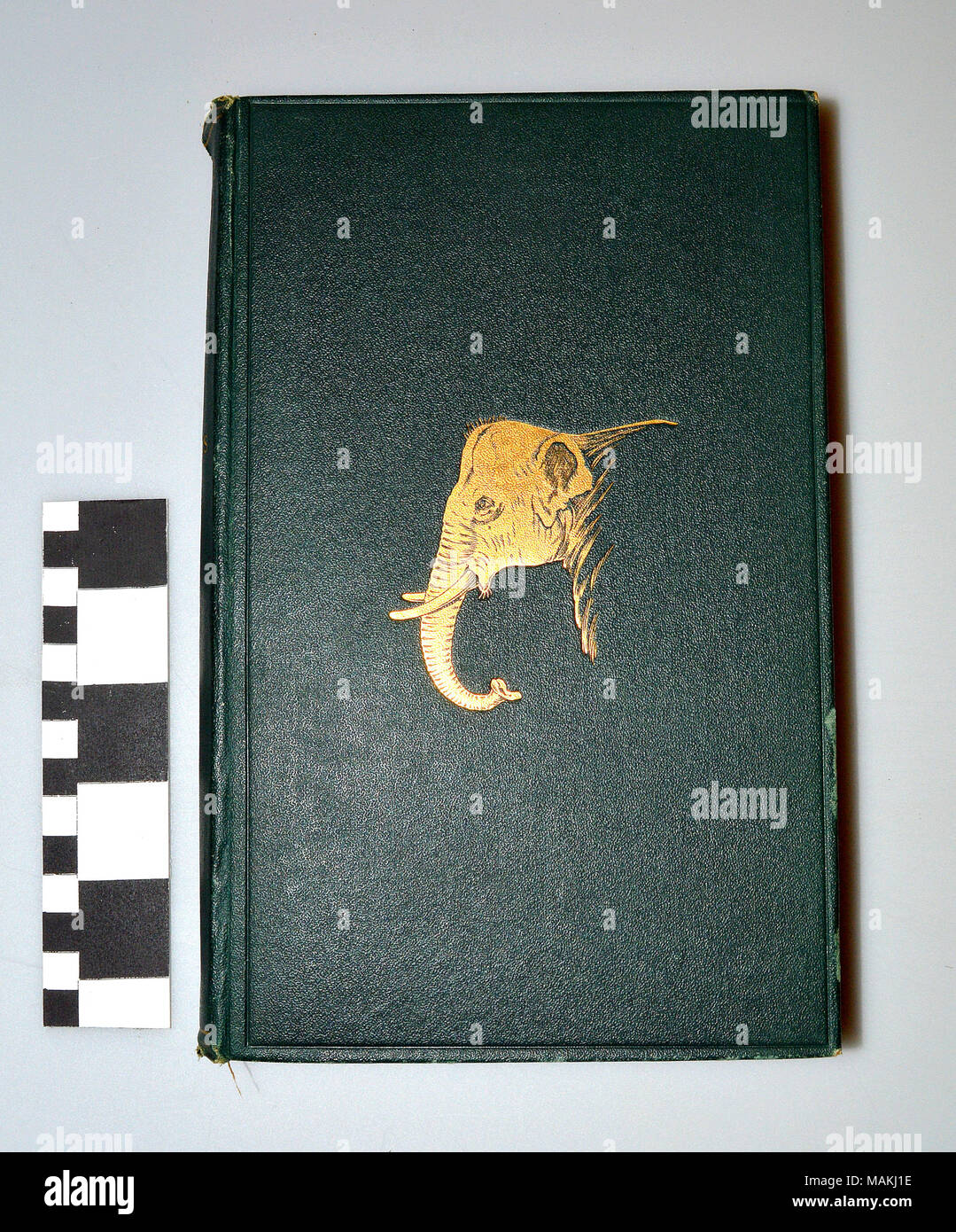 'Big Game Shooting in Upper Burma' (A) was written by Major G. P. Evans in 1911, and was owned by Marlin Perkins. This book was part of his original lending library, and still retains the original lending card (B) with card holder (C). Title: 'Big Game Shooting In Upper Burma' by Major G.P. Evans  . 1911. Stock Photo