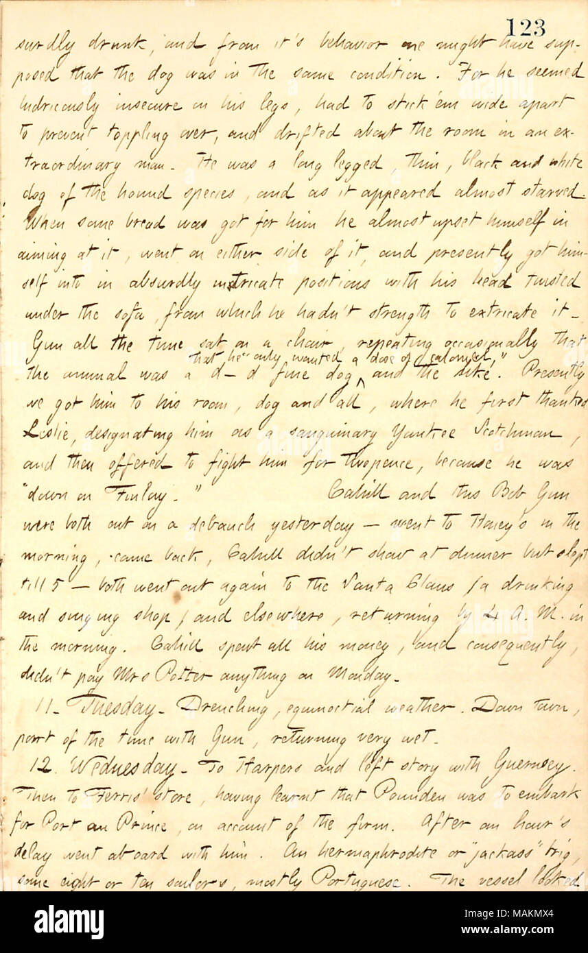 Describes Bob Gun returning to the boarding house drunk with a starved dog he picked up at a tavern.  Transcription: [ab]surdly drunk, and from it's behaviour one might have supposed that the dog was in the same condition. For he seemed ludicrously insecure on his legs, had to stick 'em wide apart to prevent toppling over, and drifted about the room in an extraordinary man. He was a long legged, thin, black and white dog of the hound species, and as it appeared almost starved. When some bread was got for him he almost upset himself in aiming at it, went on either side of it, and presently got  Stock Photo