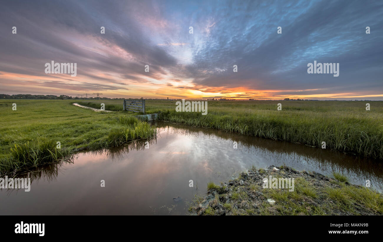 View over dairy farmland  agricultural landscape on dutch countryside in Groningen Netherlands under beautiful sunset Stock Photo