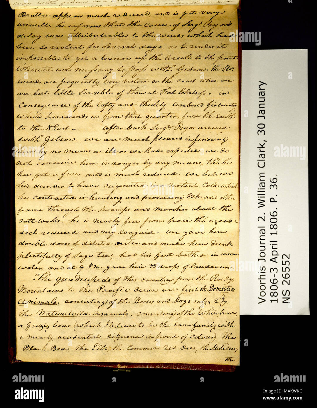 'Bratten [William Bratton] appears much reduced, and is yet verry unwell. . .' Title: Clark Family Collection: Volume 2. Voorhis Journal No. 2, page 36, February 15, 1806  . 15 February 1806. Clark, William, 1770-1838 Stock Photo