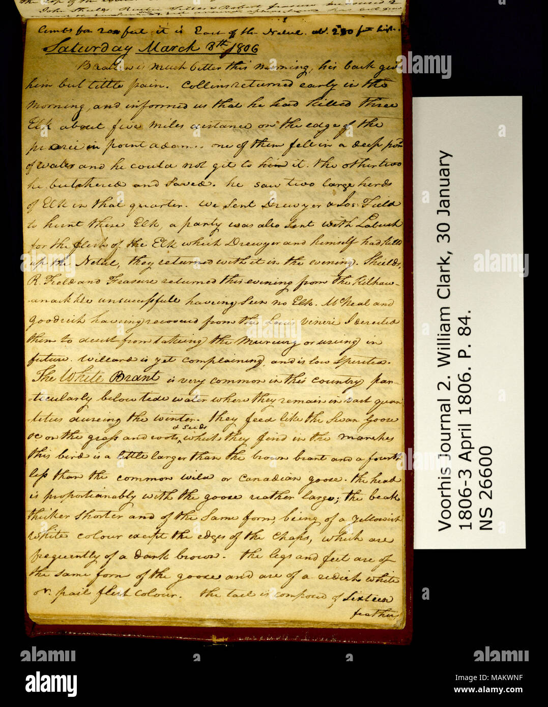 280 feet hires stock photography and images Alamy