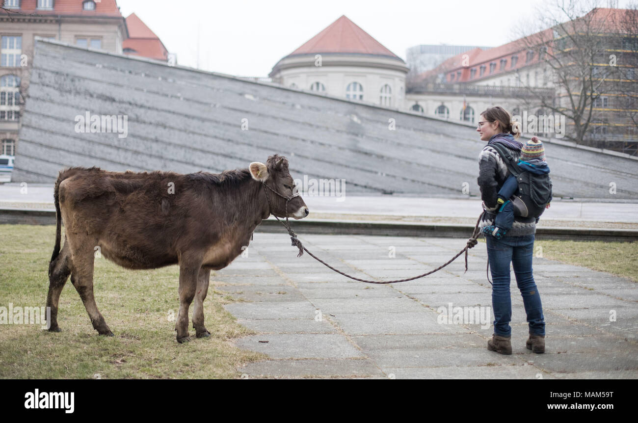 26 March 2018, Germany, Berlin: Organic farmer Anja Hradetzky from the 'Stolze Kuh' ('Proud cow') farm walking with her child and one-year old cow Omega ahead of a protest against the EU-Mercosur agreement in the Invalidenpark. Some fear that the agreement's entry into force would allow the mass import of cheap meat from Latin America. Photo: Jörg Carstensen/dpa Stock Photo