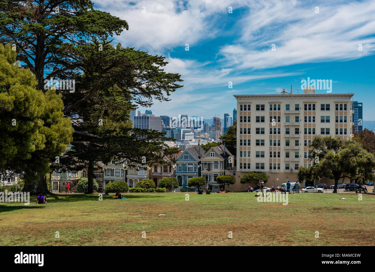 San Francisco, CA The painted Ladies in Steiner Street facing