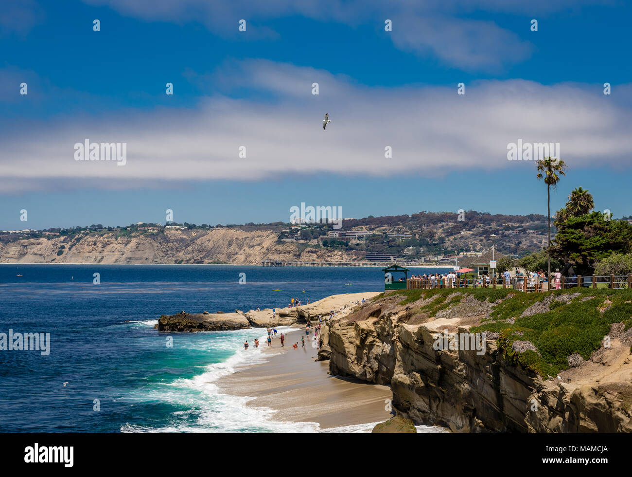 View of La Jolla Cove, San Diego, CA. Stock Photo
