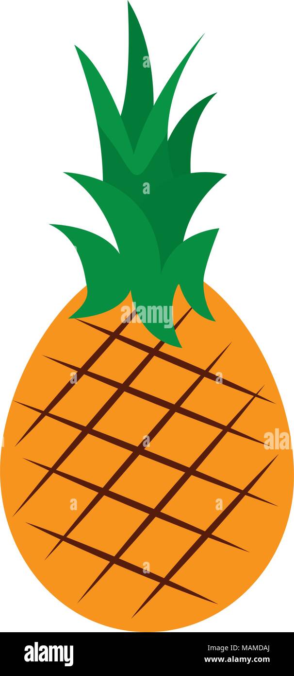 fresh pineapple fruit healthy food Stock Vector Image & Art - Alamy