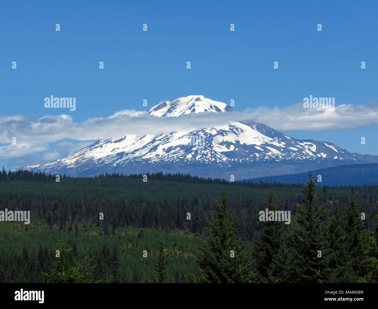 Mt Adams Wilderness in WA Stock Photo - Alamy