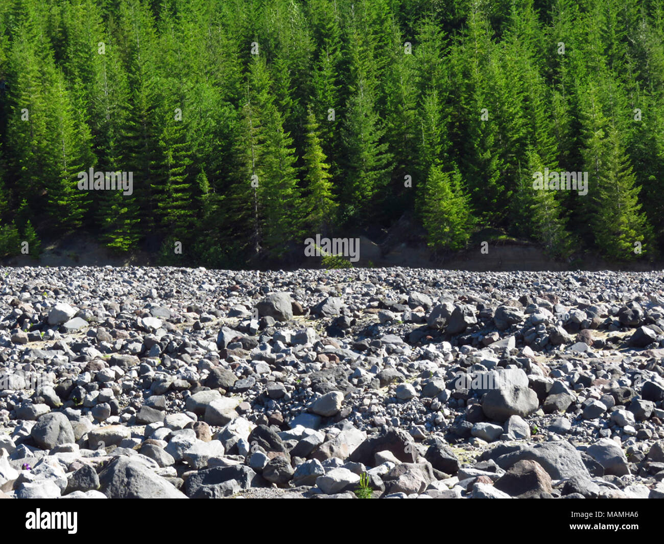 Lahar Viewpoint at Mt St Helens NM in Washington Stock Photo Alamy