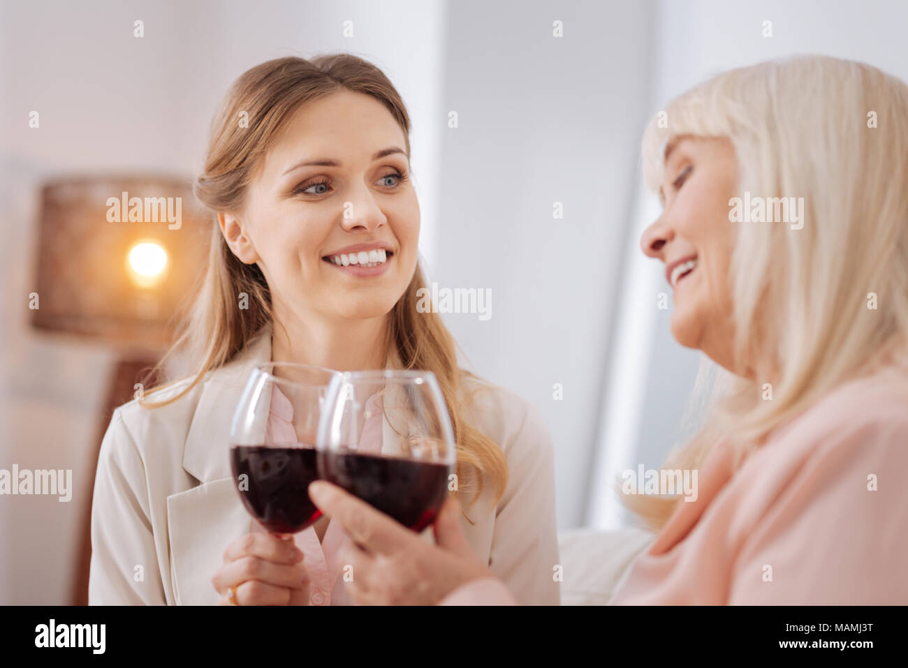 Joyful nice women cheering with wine Stock Photo