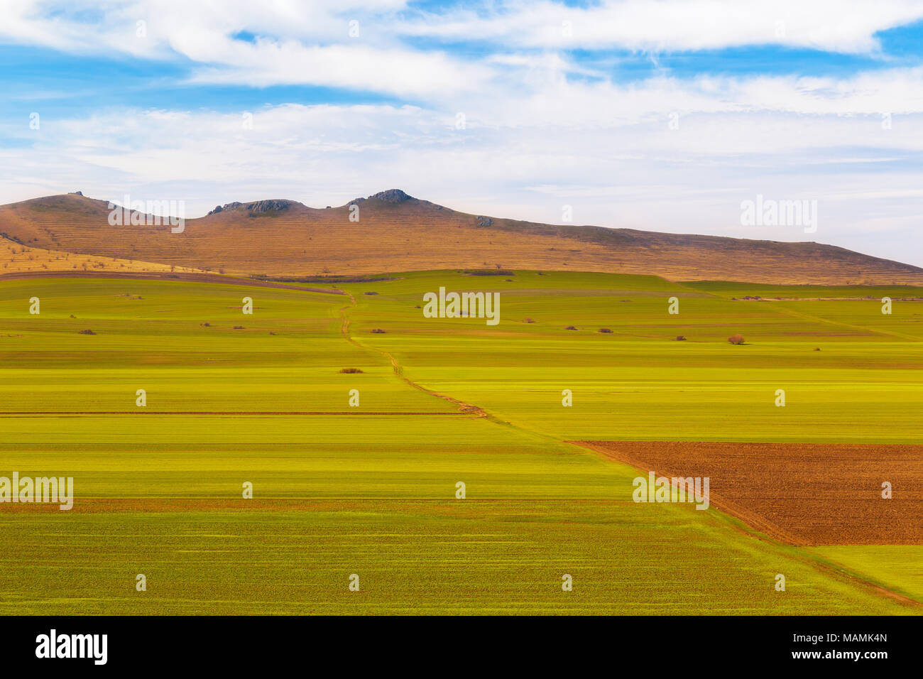 Spring arable land hi-res stock photography and images - Alamy