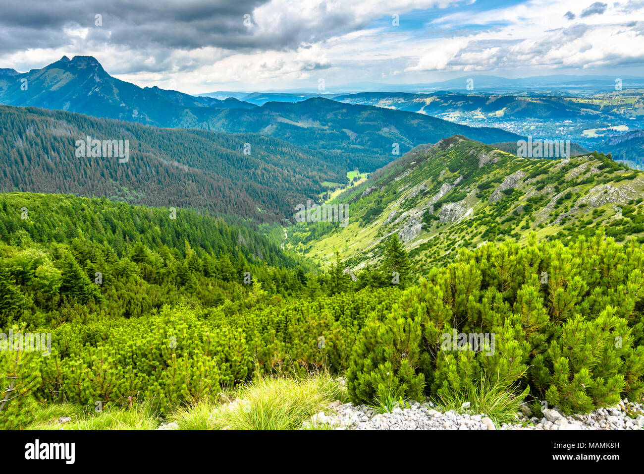 Carpathians landscape on top hi-res stock photography and images - Alamy
