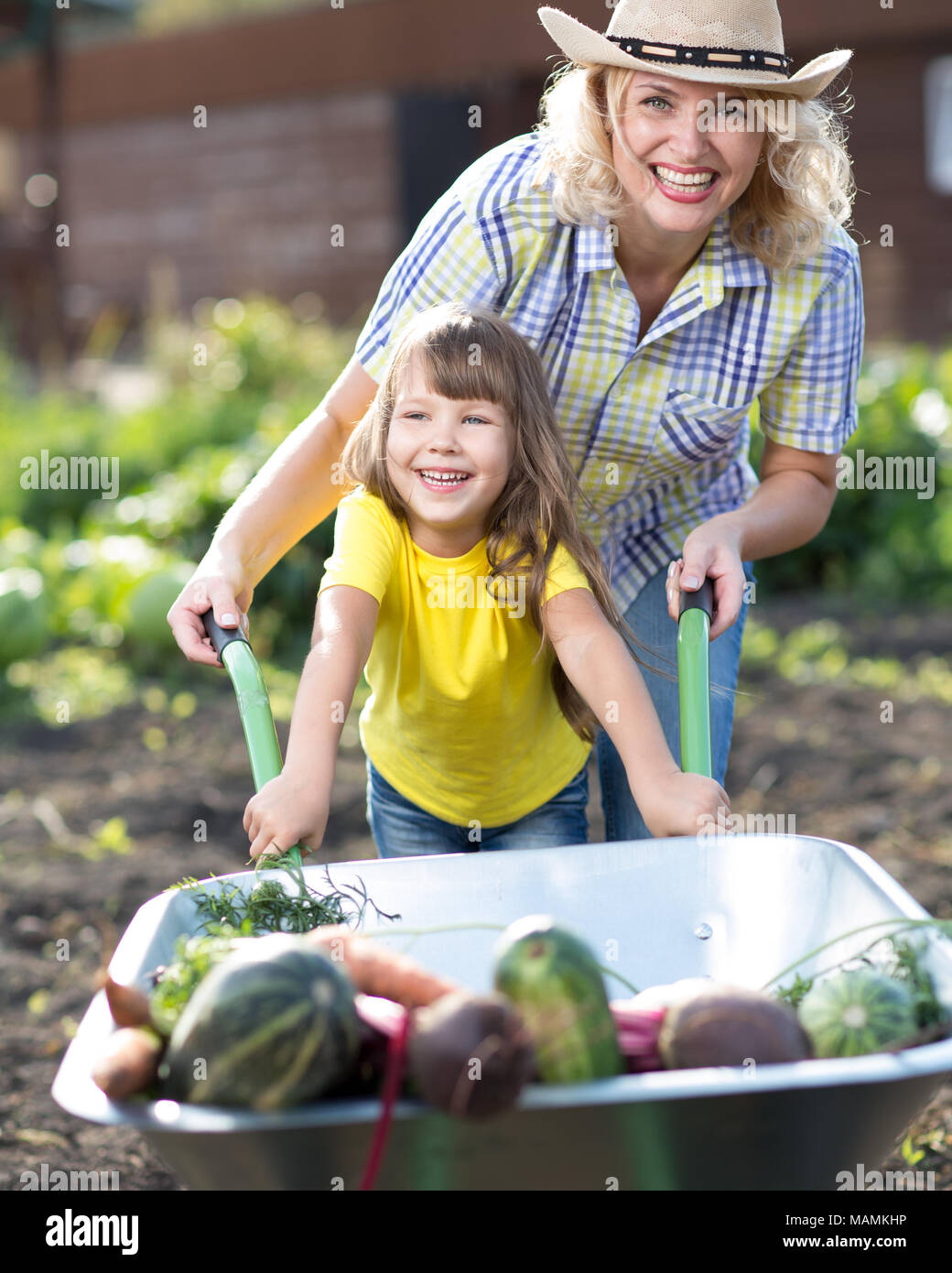 Adorable child girl and her mother pushing wheelbarrow with vegetables ...