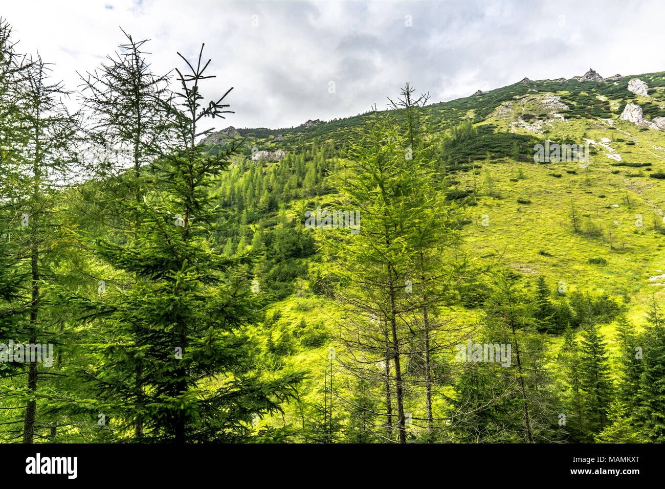 Top view of green mountains hi-res stock photography and images - Alamy