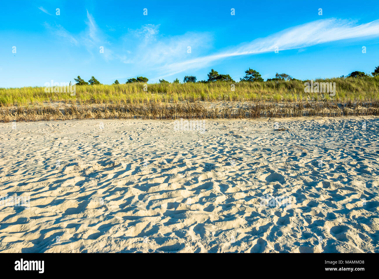 Round Coastal Sandy Beach Blue Sky Summer Backdrop