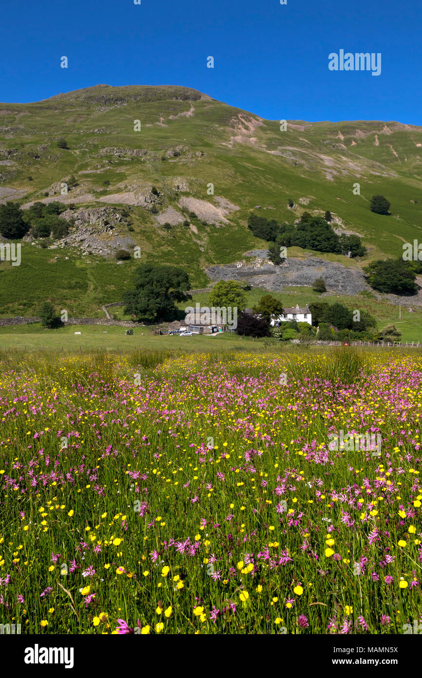 Patterdale; Cumbria; UK Stock Photo Alamy