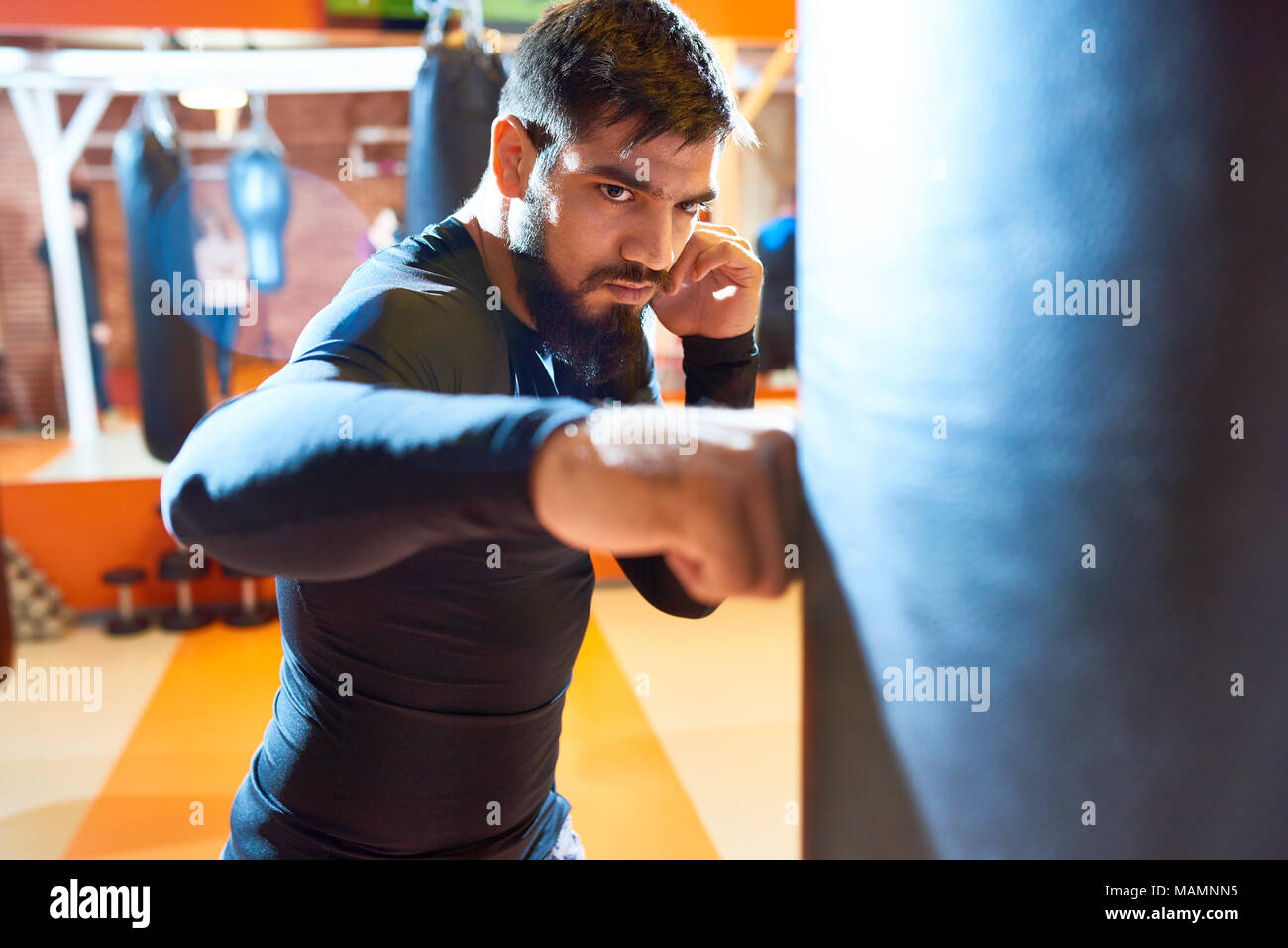 Tough Boxer at Practice Stock Photo Alamy