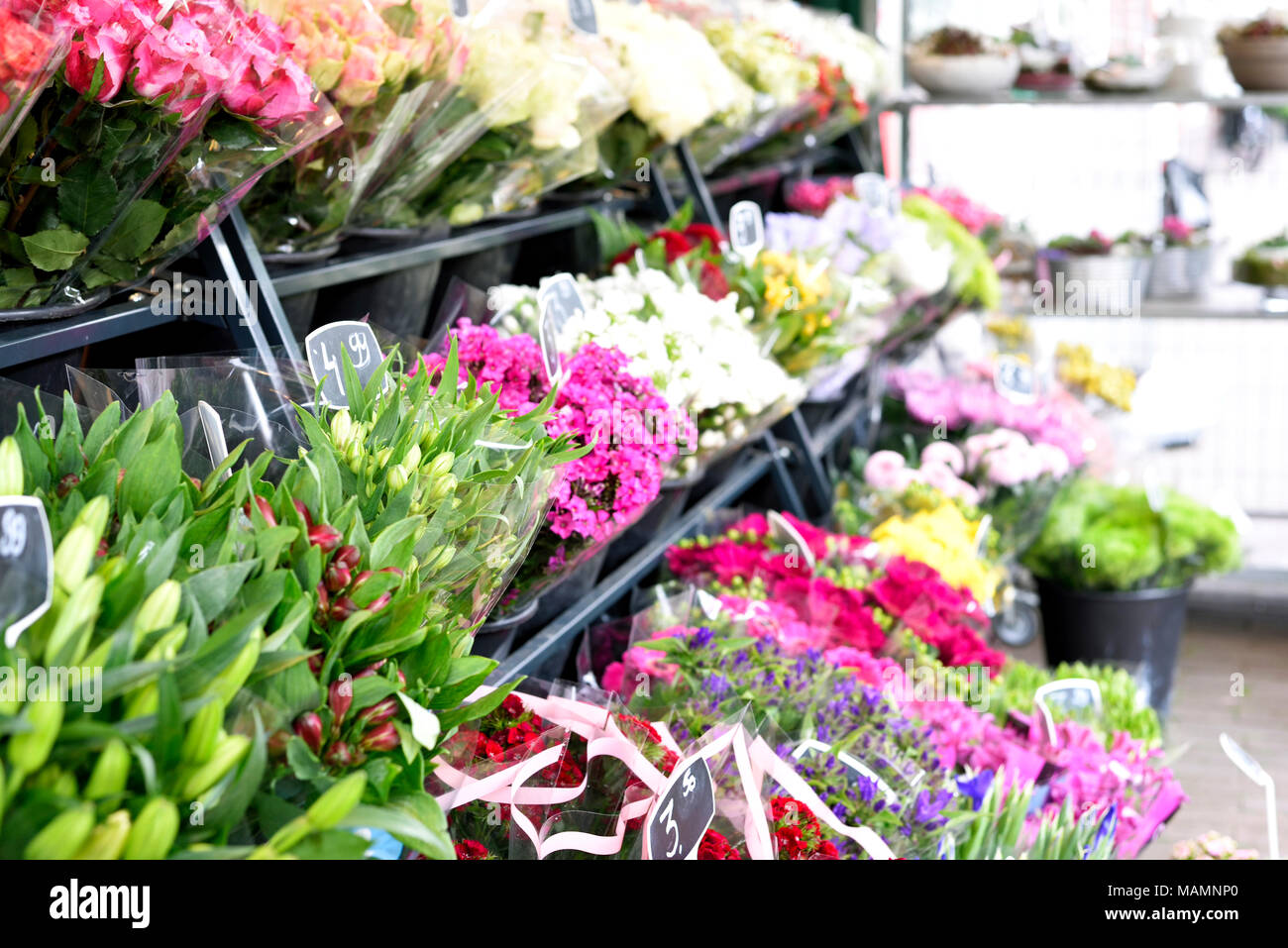 Flower market or flower bouquets at a street market stall with displays and selective focus. Stock Photo