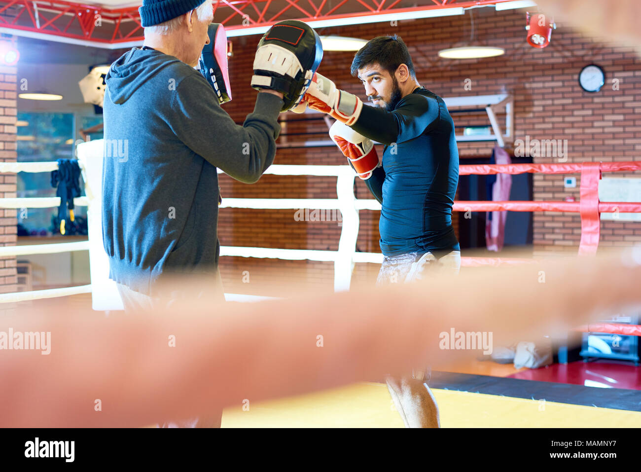 Tough Boxer training in Ring Stock Photo