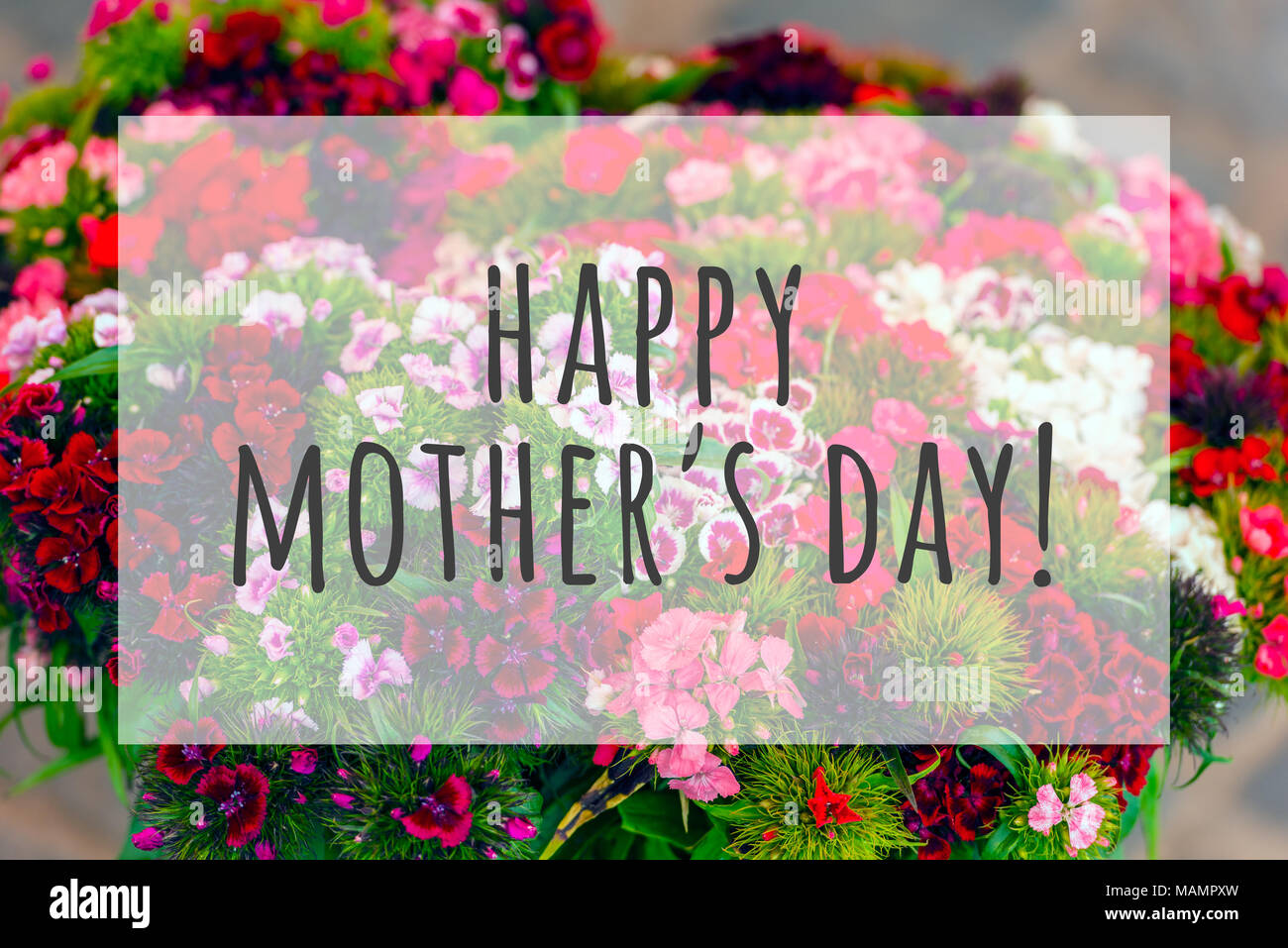 Happy mothers day text on blurred flowers background Stock Photo - Alamy
