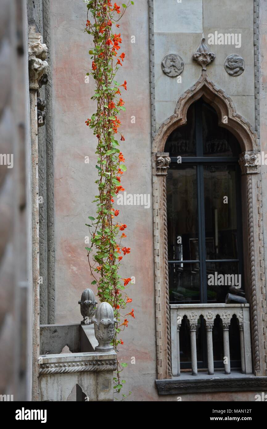 Spring at the Gardner Museum in Boston, MA featuring the Hanging