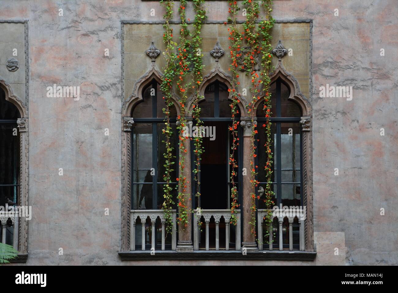 Hanging nasturtiums hires stock photography and images Alamy