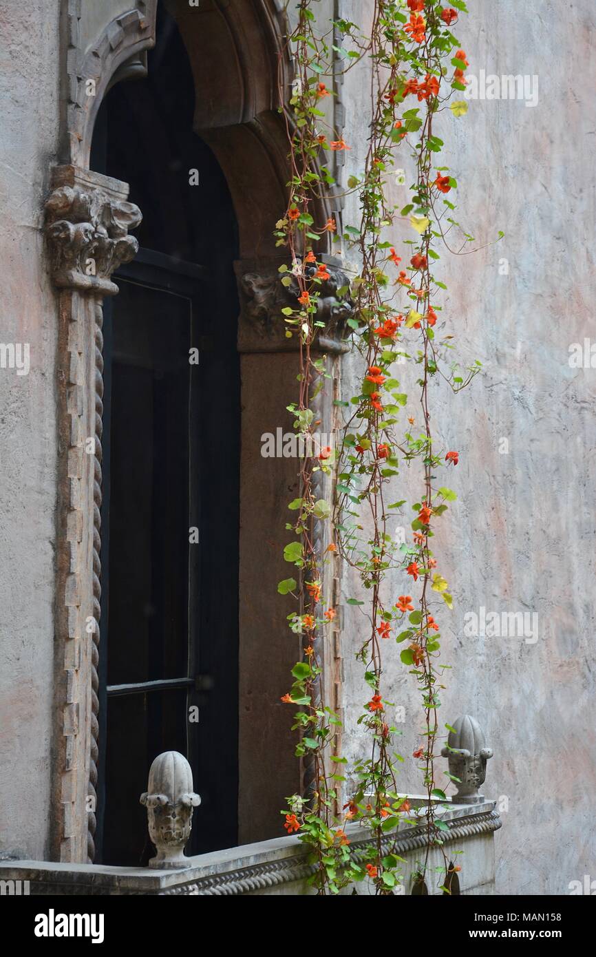 Spring at the Gardner Museum in Boston, MA featuring the Hanging