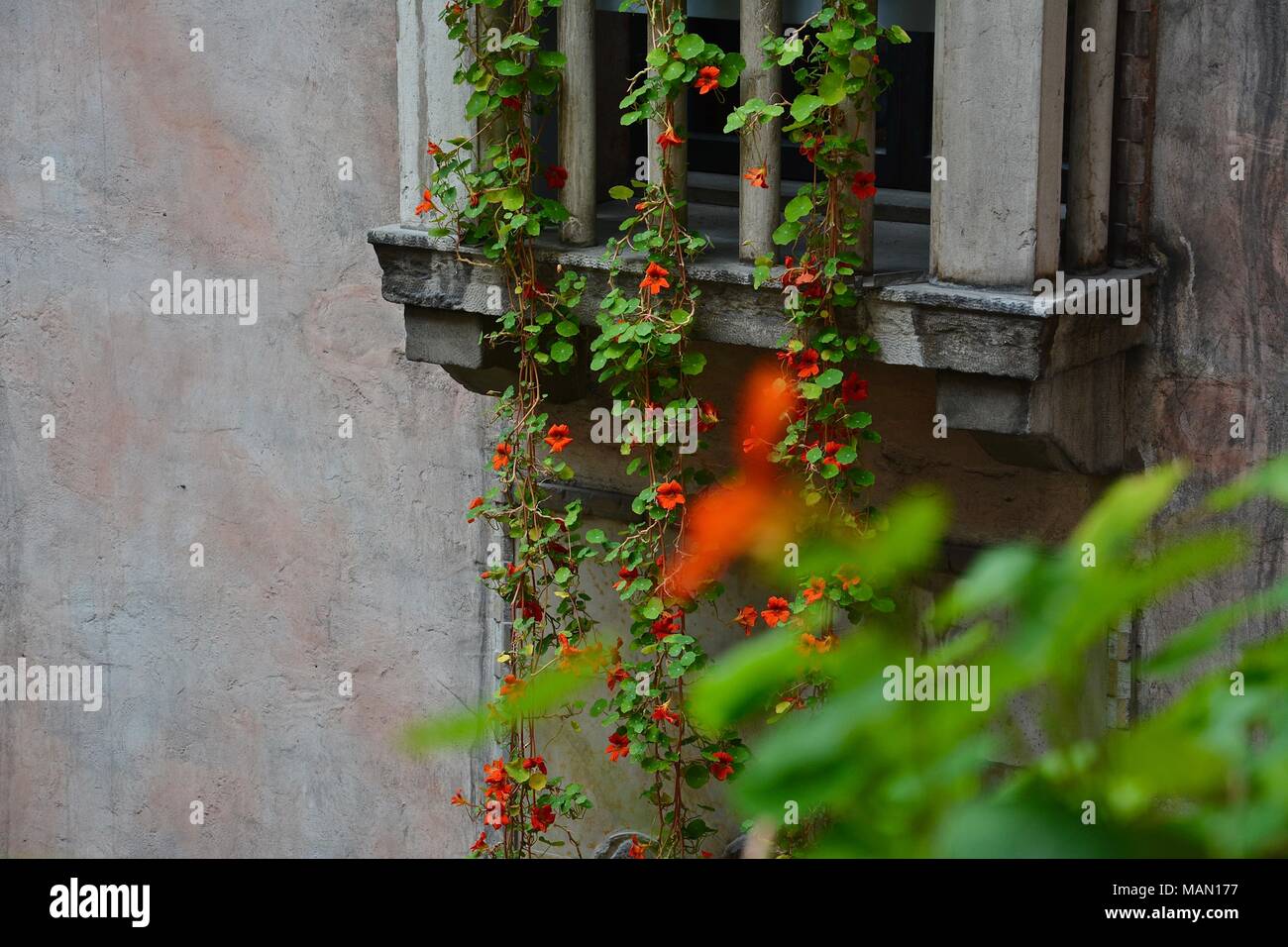 Spring at the Gardner Museum in Boston, MA featuring the Hanging