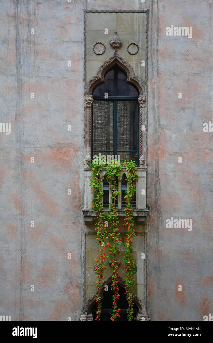 The Hanging Nasturtiums in the atrium of the Isabella Stewart Gardner