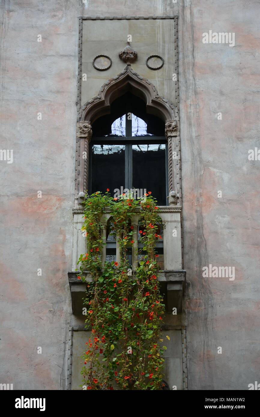 The Hanging Nasturtiums in the atrium of the Isabella Stewart Gardner