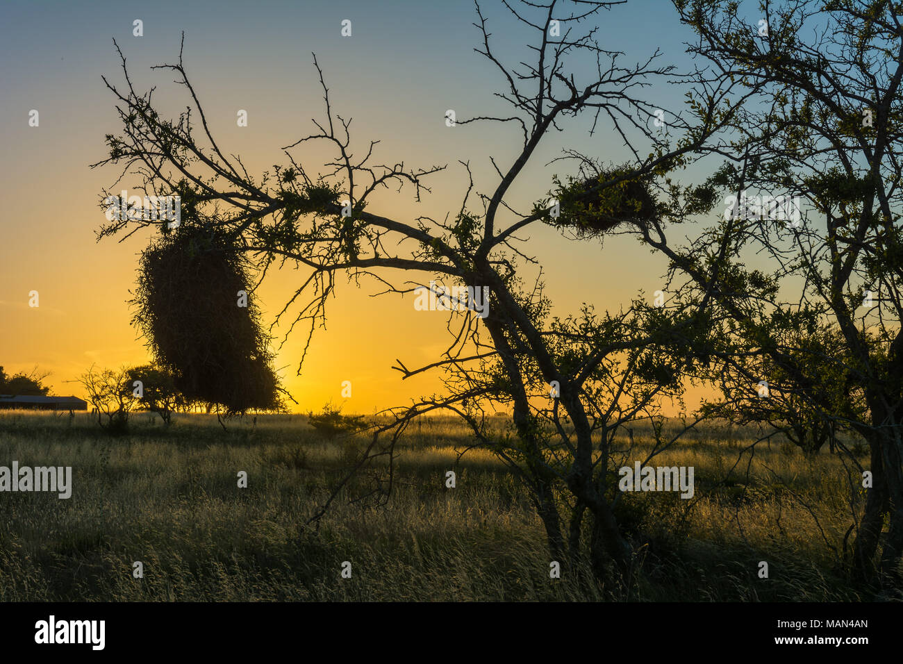 Primer refugio hi-res stock photography and images - Alamy
