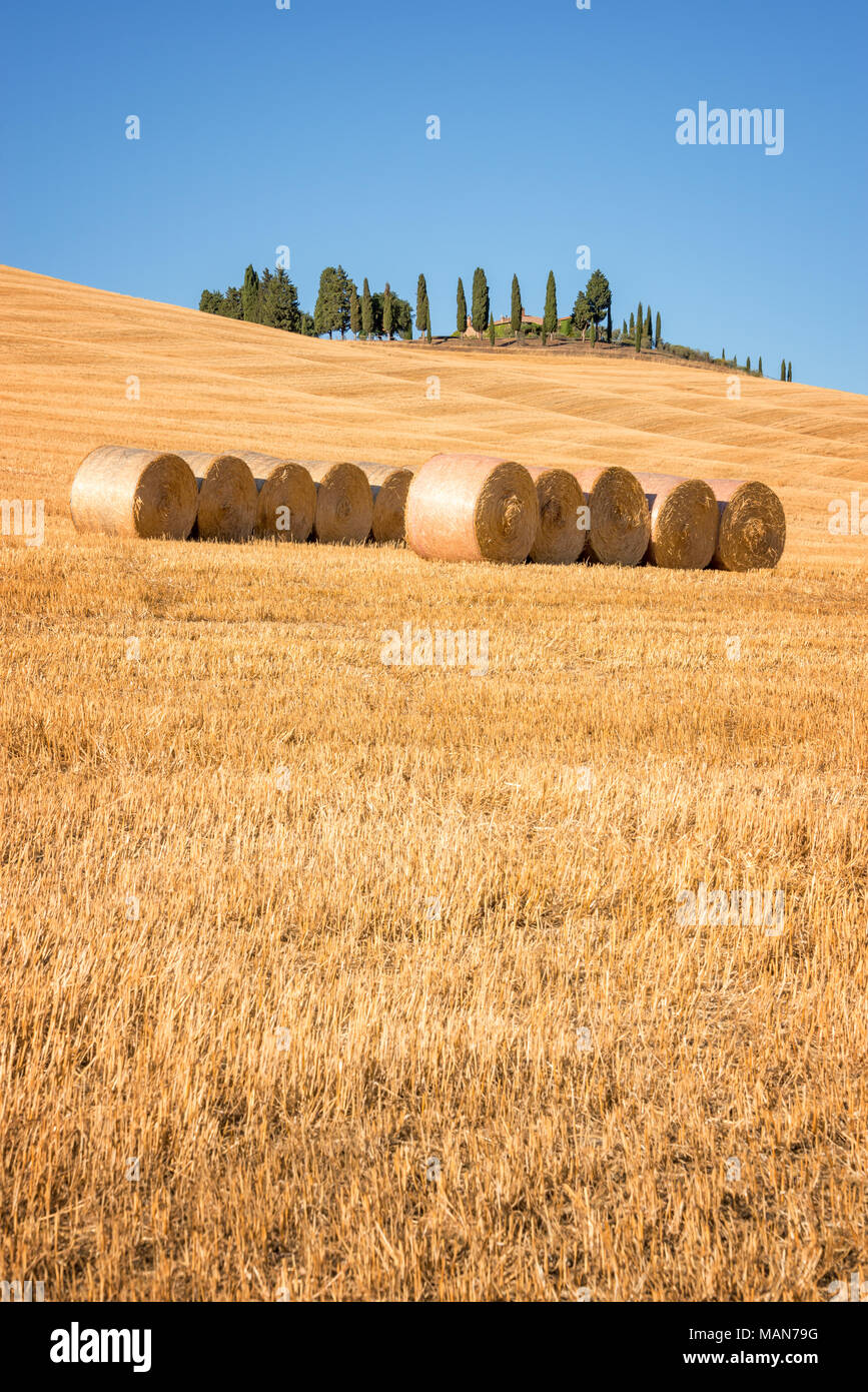 Beautiful typical landscape of Val d'Orcia in Tuscany with hay bales in a field in summer, Val d'Orcia, Tuscany, Italy Stock Photo